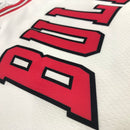 Regata Chicago Bulls Association Edition